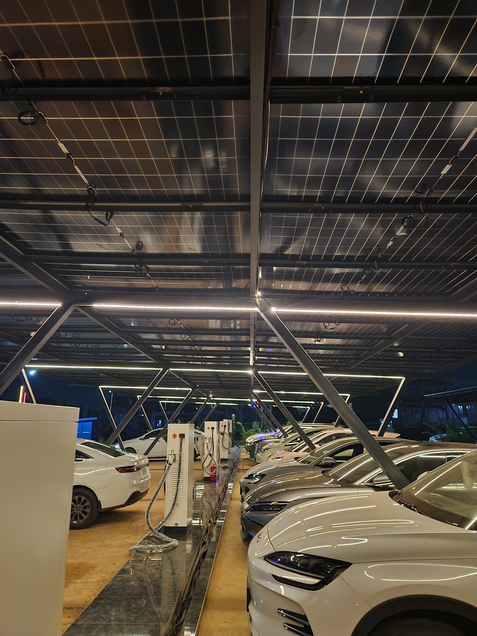 Camel EV charging facility