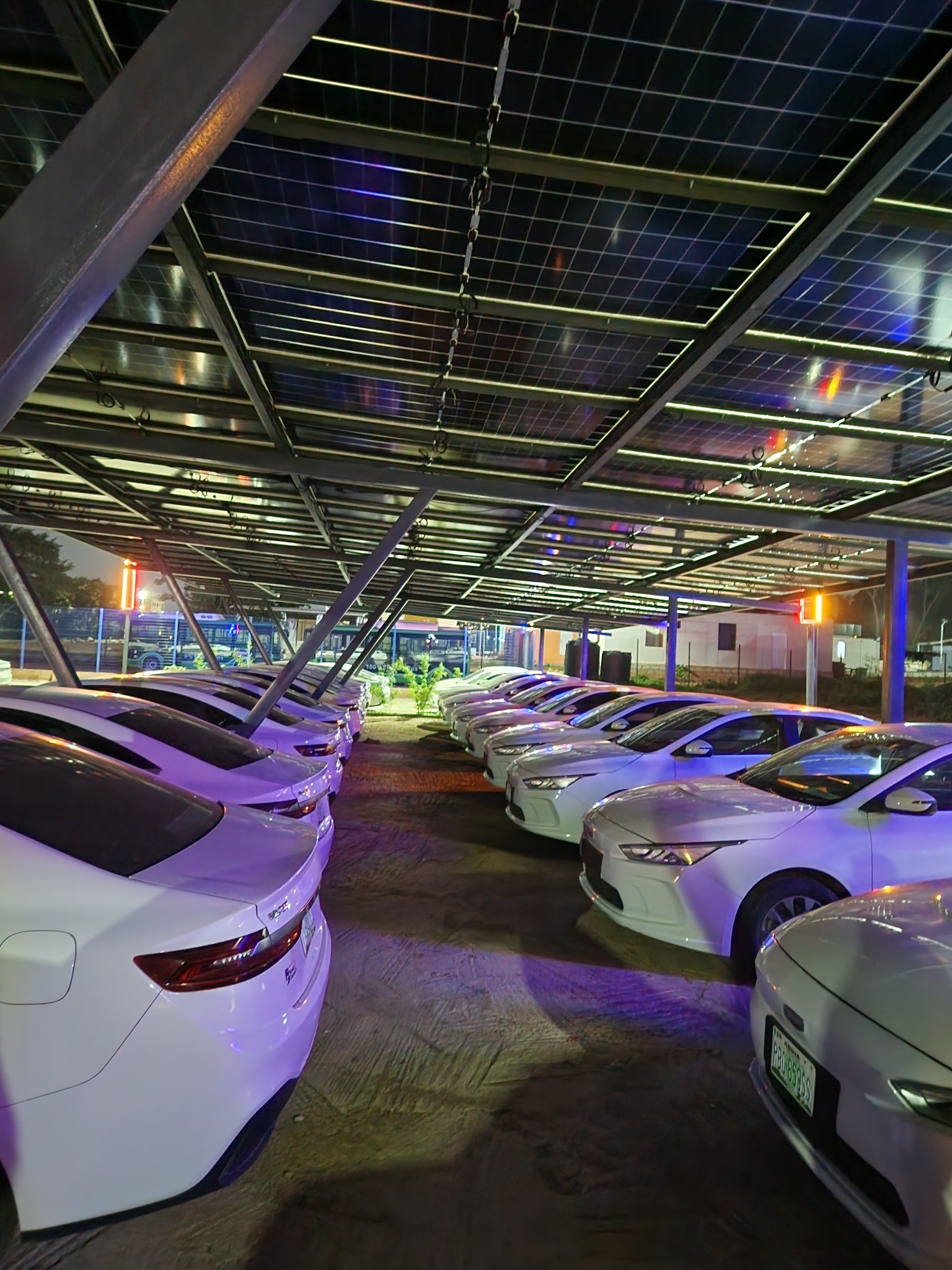 Camel EV charging station